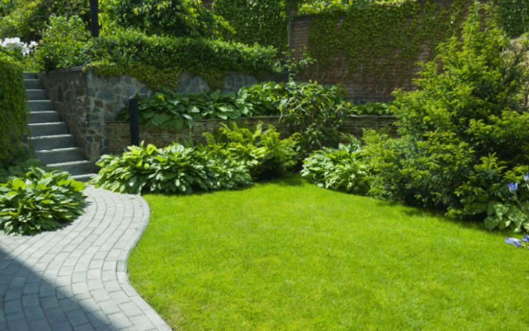 Greener Grass Landscaping: Your Partner for Lush Lawns and Outdoor Elegance